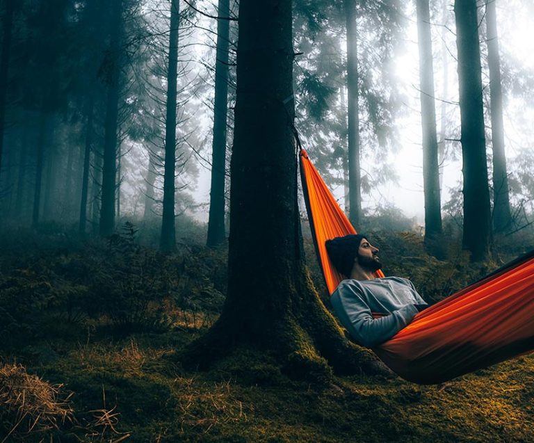 Blog Img 4 1 768x637